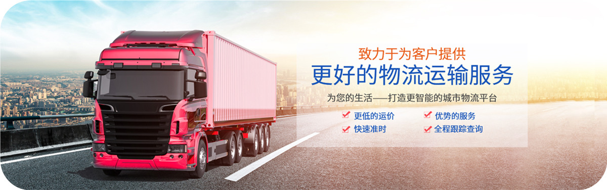 物流指導(dǎo)、方案策劃